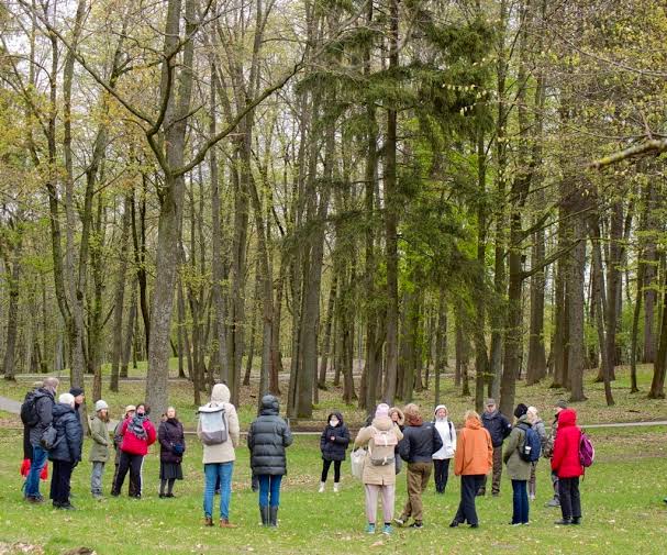 A small group gathered in a circle among tall forest trees