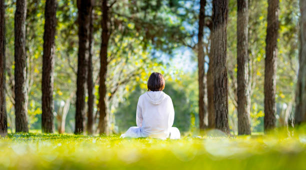 A person sitting in stillness in a bright pine forest